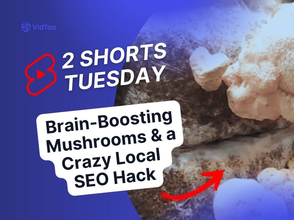 Mushroom & Seo VidTao 2 shirts tuesday cover image