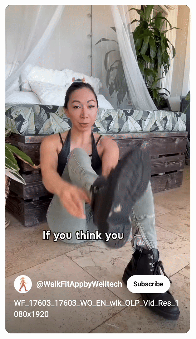7k steps ad Spy on YouTube ads using VidTao