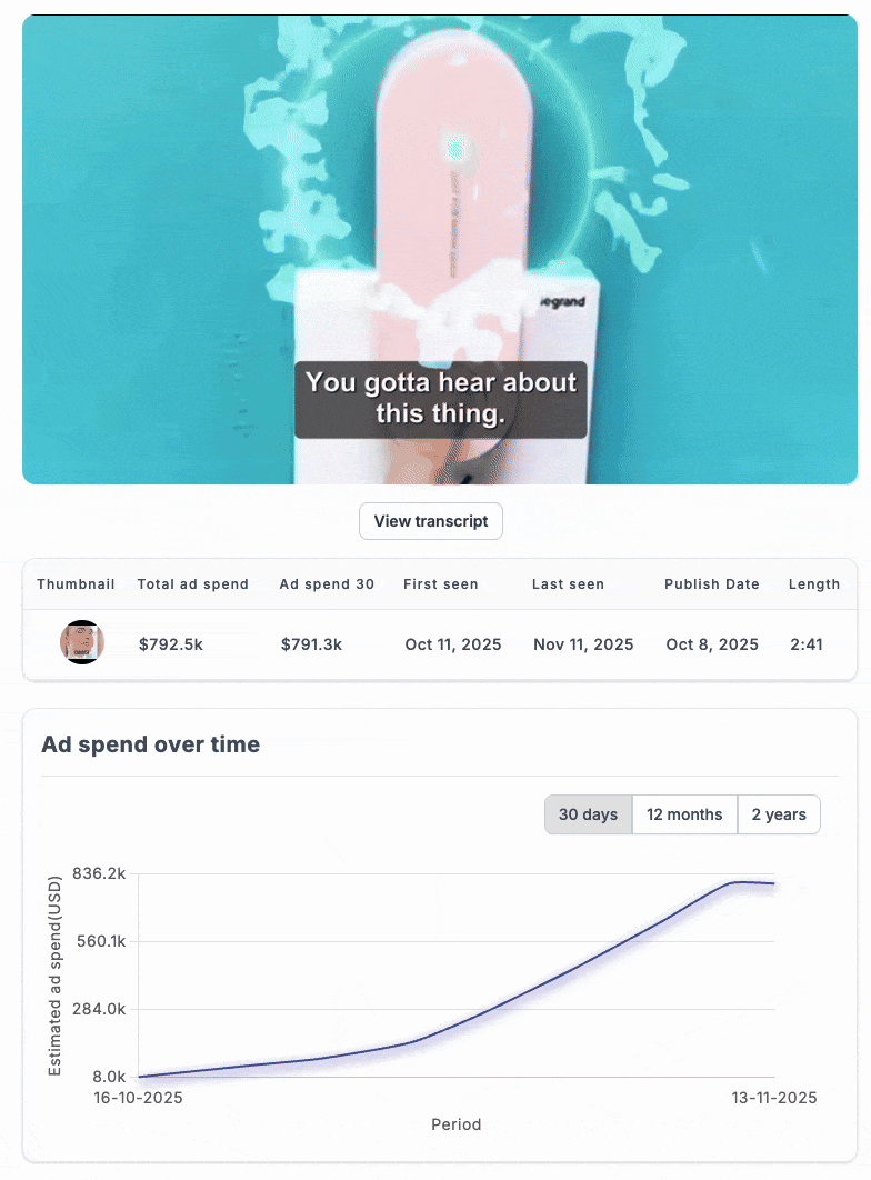 Mold killer ad inside VidTao ad spy tool